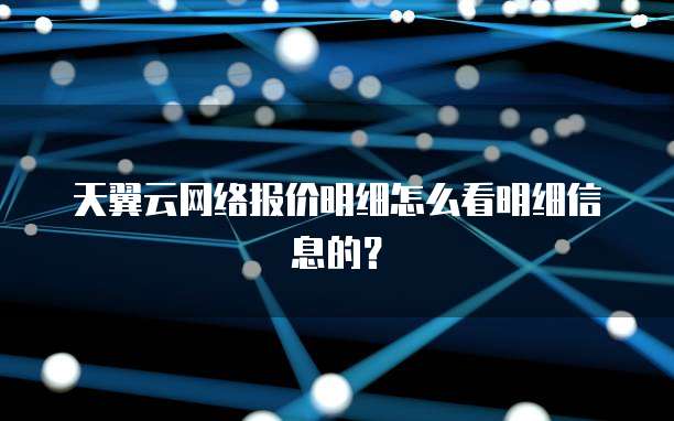 天翼云网络报价明细怎么看明细信息的?