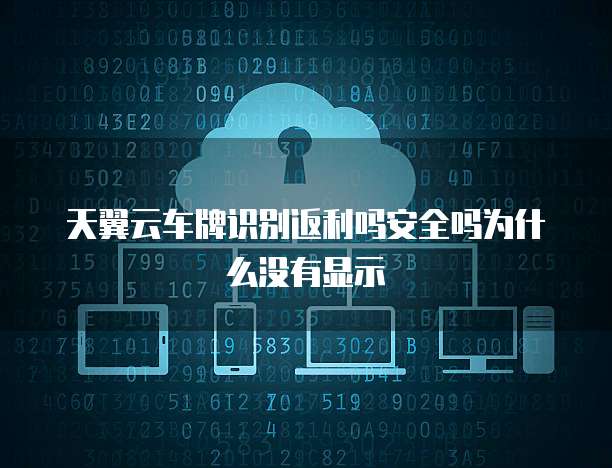 天翼云车牌识别返利吗安全吗为什么没有显示