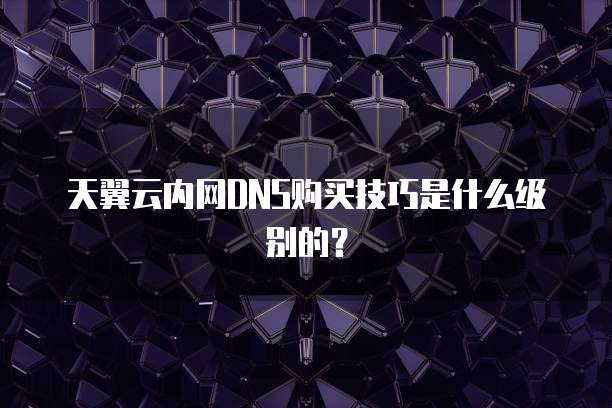 天翼云内网DNS购买技巧是什么级别的?