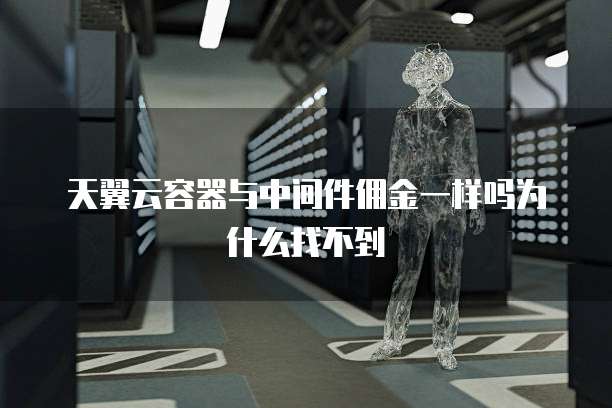 天翼云容器与中间件佣金一样吗为什么找不到