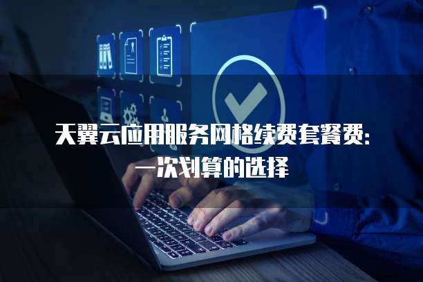 天翼云应用服务网格续费套餐费:一次划算的选择