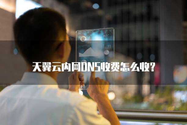 天翼云内网DNS收费怎么收?