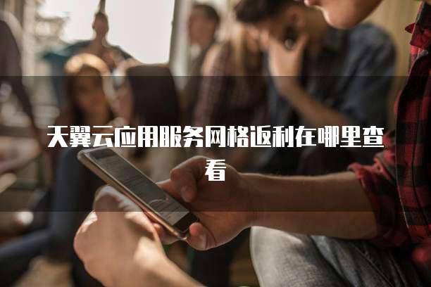 天翼云应用服务网格返利在哪里查看