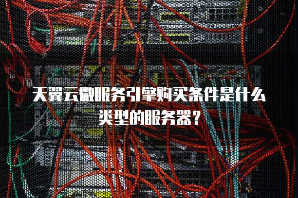 天翼云微服务引擎购买条件是什么类型的服务器?