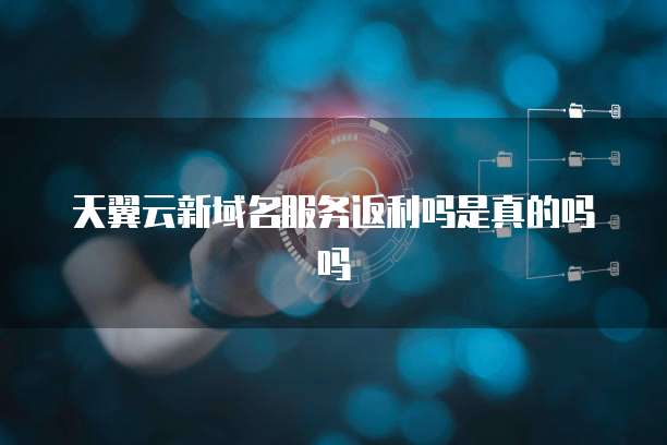 天翼云新域名服务返利吗是真的吗吗