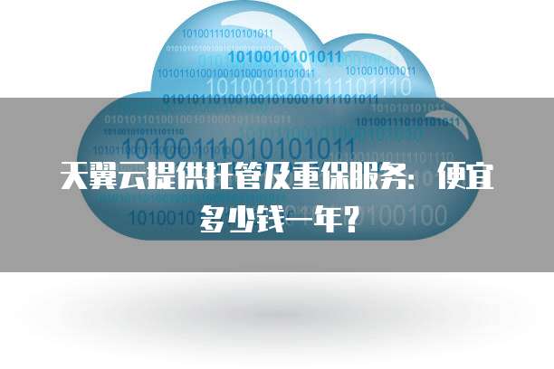天翼云提供托管及重保服务:便宜多少钱一年?