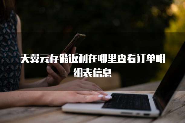 天翼云存储返利在哪里查看订单明细表信息