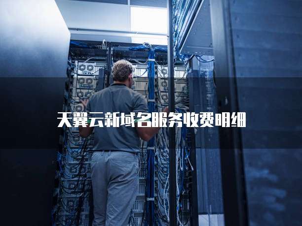 天翼云新域名服务收费明细