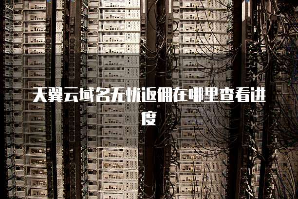 天翼云域名无忧返佣在哪里查看进度