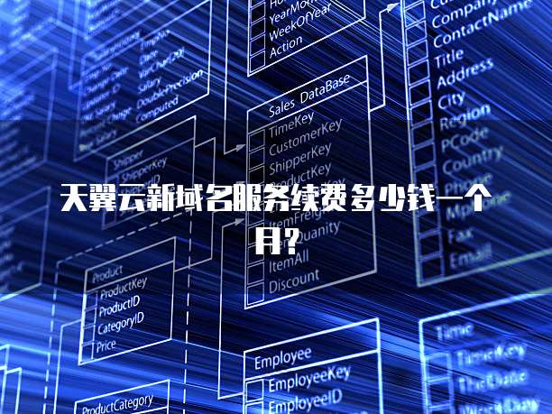 天翼云新域名服务续费多少钱一个月?