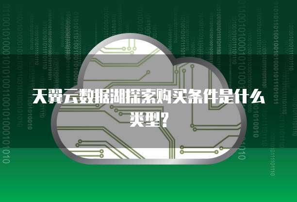 天翼云数据湖探索购买条件是什么类型?