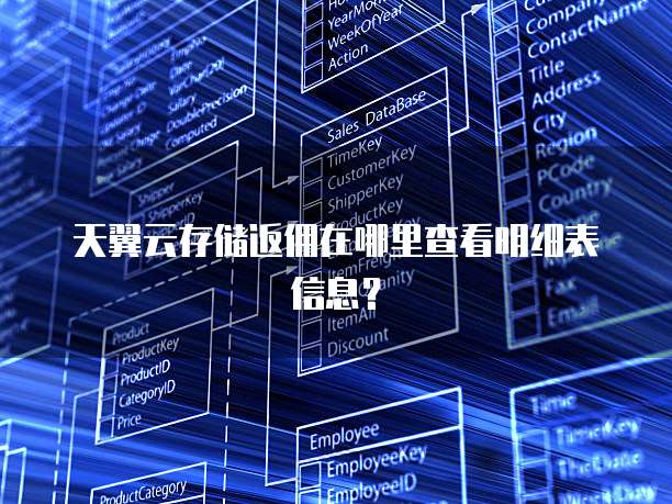 天翼云存储返佣在哪里查看明细表信息？