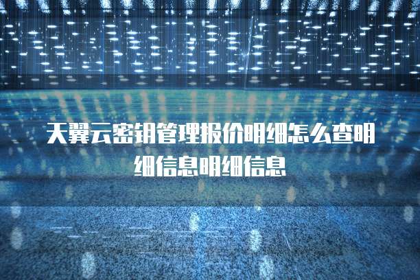 天翼云密钥管理报价明细怎么查明细信息明细信息