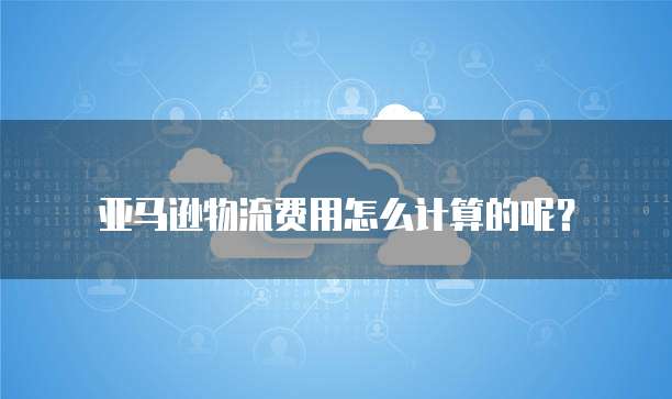 天翼云 DNS 政策是什么版本?