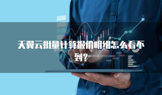 天翼云批量计算报价明细怎么看不到?