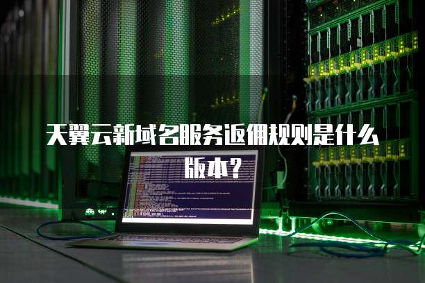 天翼云新域名服务返佣规则是什么版本?