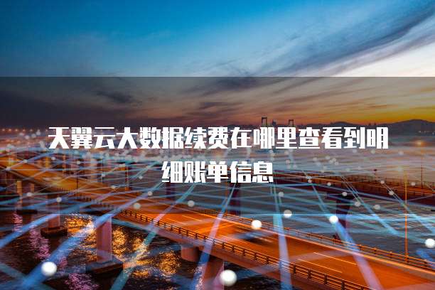 天翼云大数据续费在哪里查看到明细账单信息