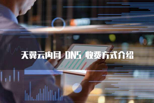 天翼云内网 DNS 收费方式介绍