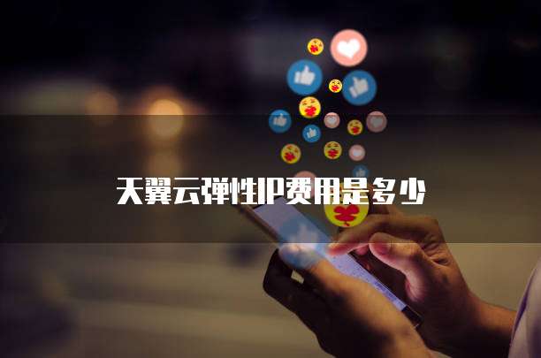 天翼云弹性IP费用是多少