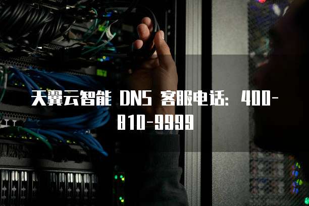 天翼云智能 DNS 客服电话:400-810-9999