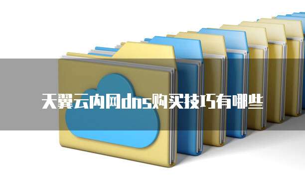 天翼云内网dns购买技巧有哪些