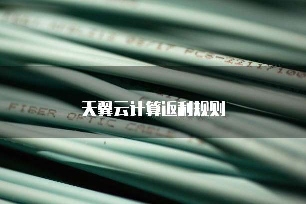 天翼云计算返利规则