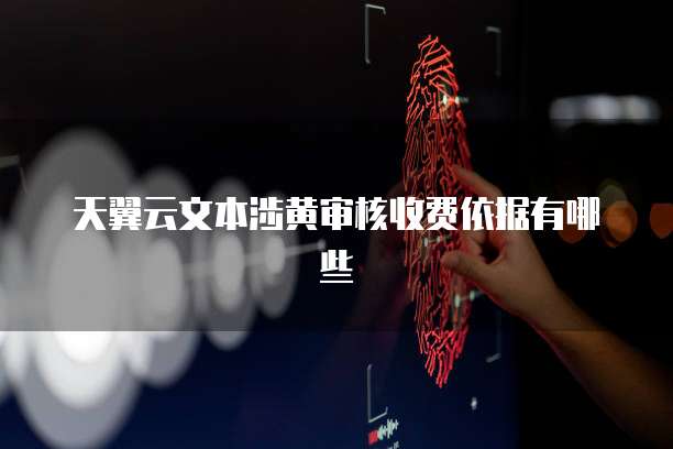 天翼云文本涉黄审核收费依据有哪些