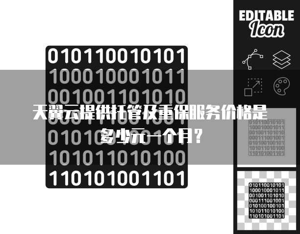 天翼云提供托管及重保服务价格是多少元一个月?