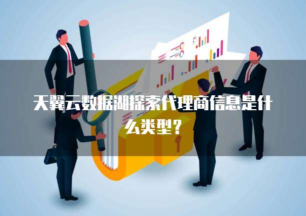 天翼云数据湖探索代理商信息是什么类型?