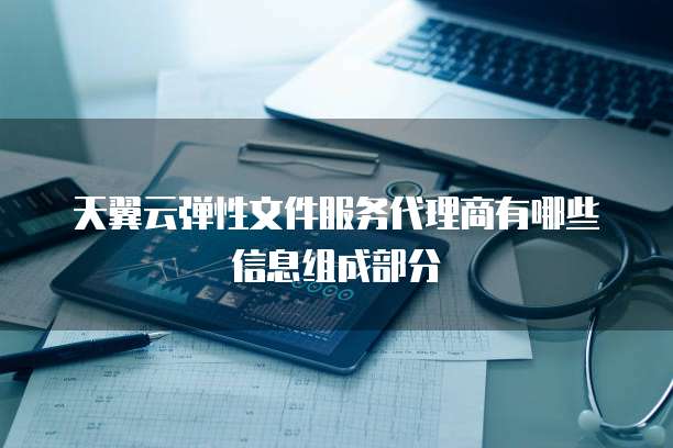 天翼云弹性文件服务代理商有哪些信息组成部分