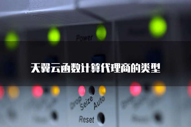 天翼云函数计算代理商的类型