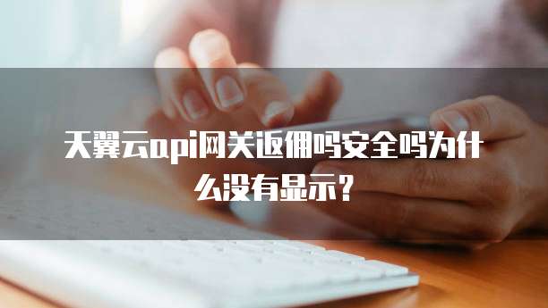 天翼云api网关返佣吗安全吗为什么没有显示?