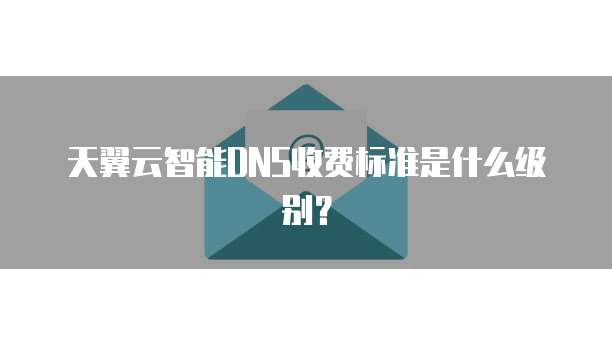 天翼云智能DNS收费标准是什么级别?