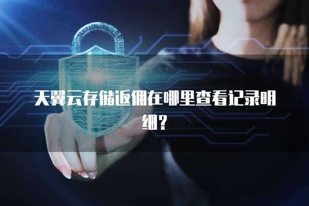 天翼云存储返佣在哪里查看记录明细?