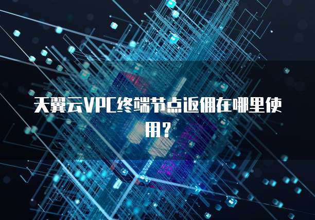 天翼云VPC终端节点返佣在哪里使用?