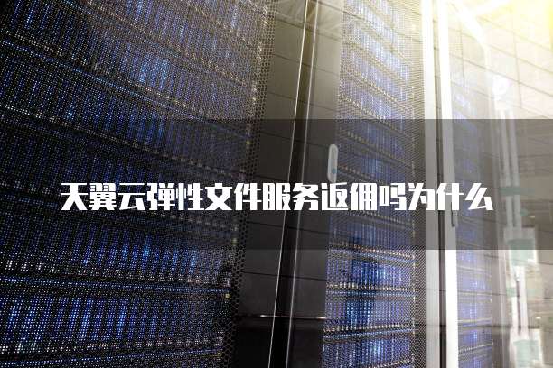 天翼云弹性文件服务返佣吗为什么