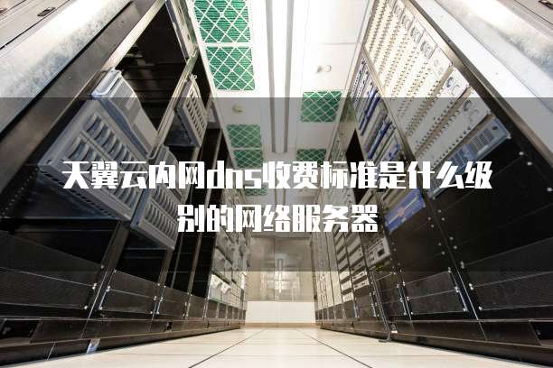 天翼云内网dns收费标准是什么级别的网络服务器