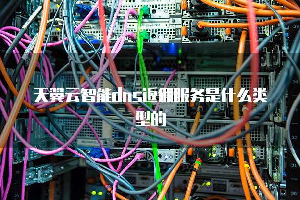 天翼云智能dns返佣服务是什么类型的
