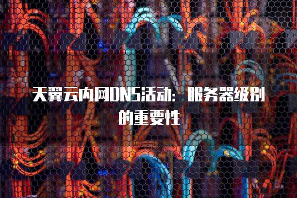 天翼云内网DNS活动:服务器级别的重要性