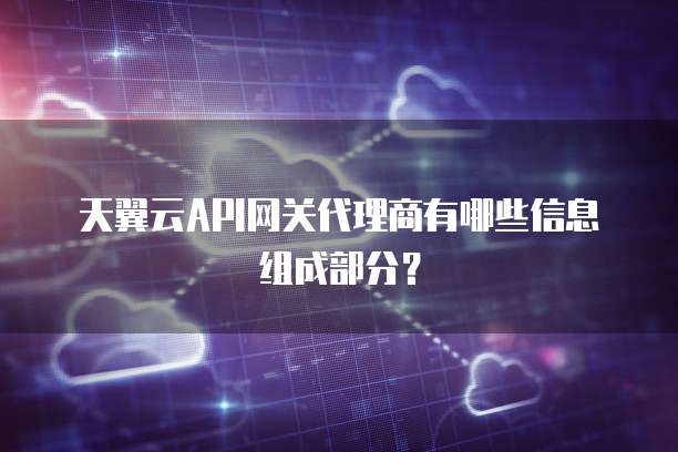 天翼云API网关代理商有哪些信息组成部分?