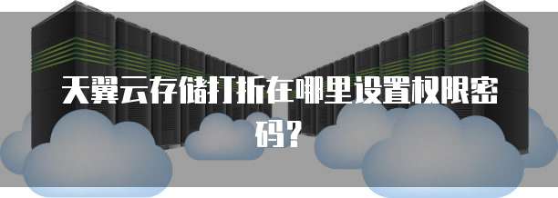 天翼云存储打折在哪里设置权限密码？