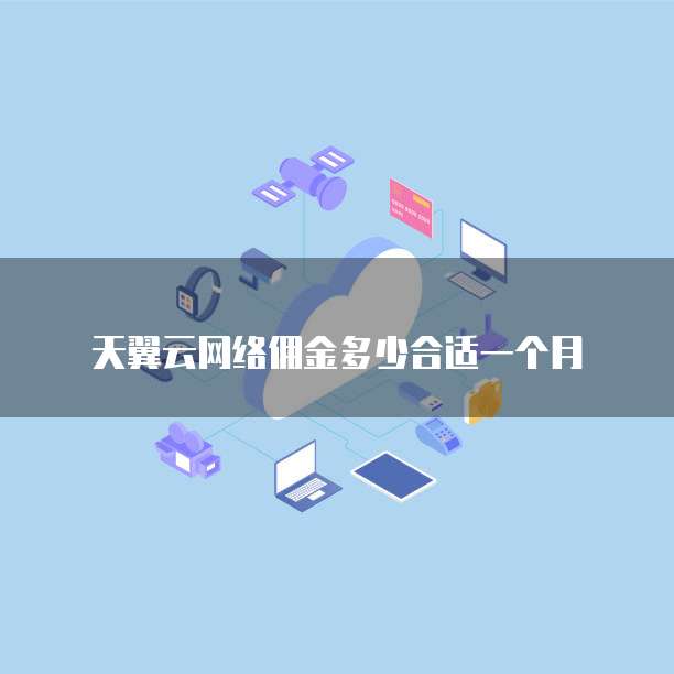 天翼云网络佣金多少合适一个月