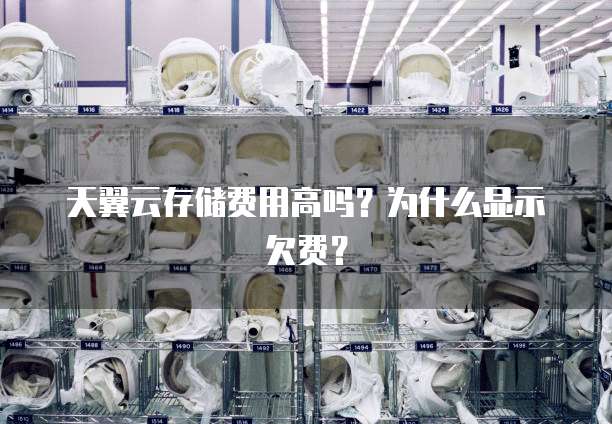 天翼云存储费用高吗?为什么显示欠费?