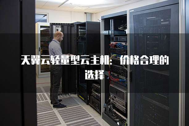 天翼云轻量型云主机:价格合理的选择