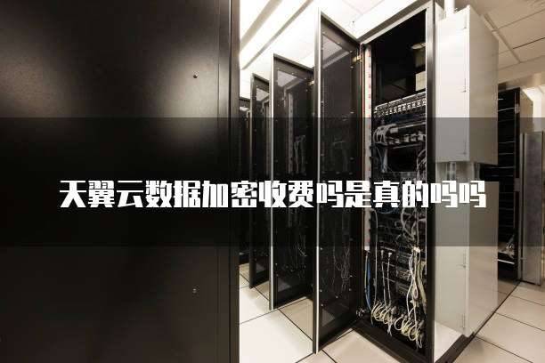 天翼云数据加密收费吗是真的吗吗
