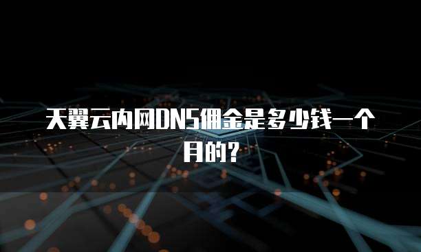天翼云内网DNS佣金是多少钱一个月的?