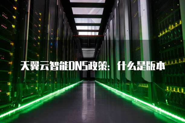 天翼云智能DNS政策：什么是版本