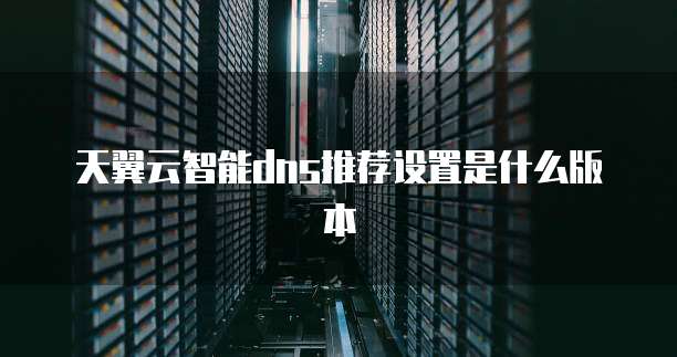 天翼云智能dns推荐设置是什么版本