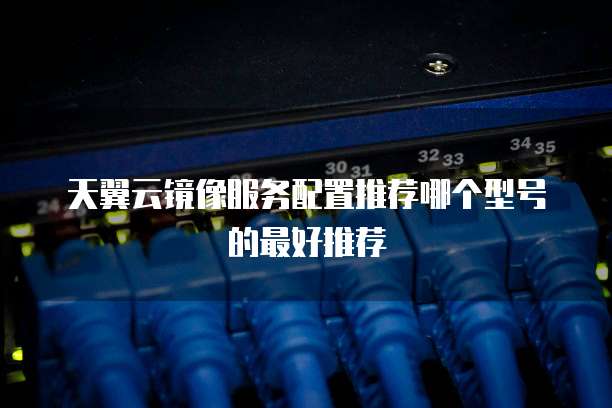 天翼云镜像服务配置推荐哪个型号的最好推荐