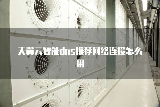 天翼云智能dns推荐网络连接怎么用